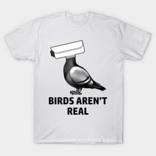Birds arent real T-Shirt